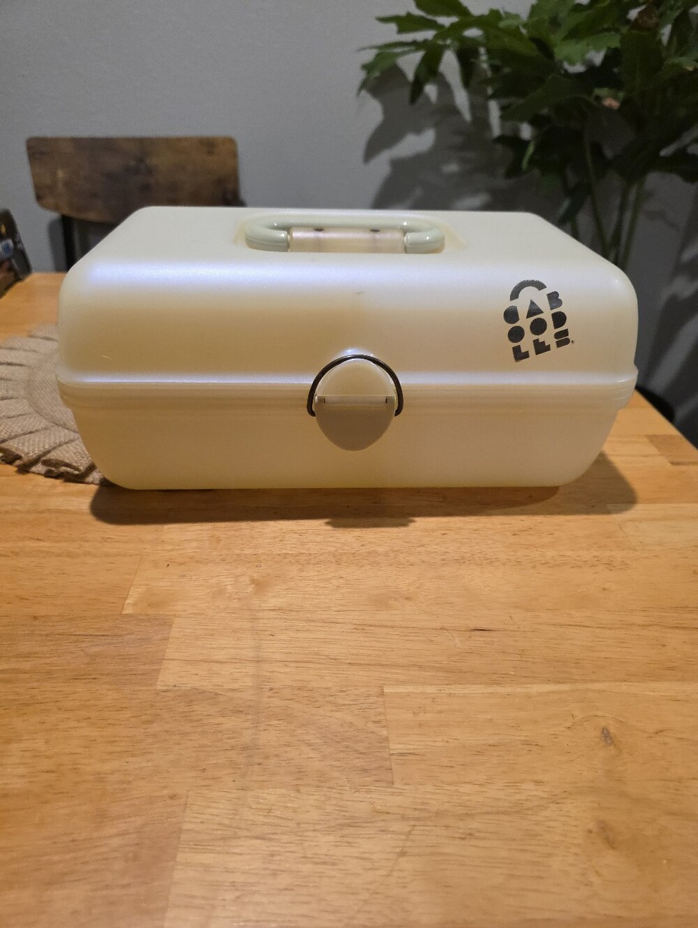 Pearlescent Cream Colored Vintage Caboodle